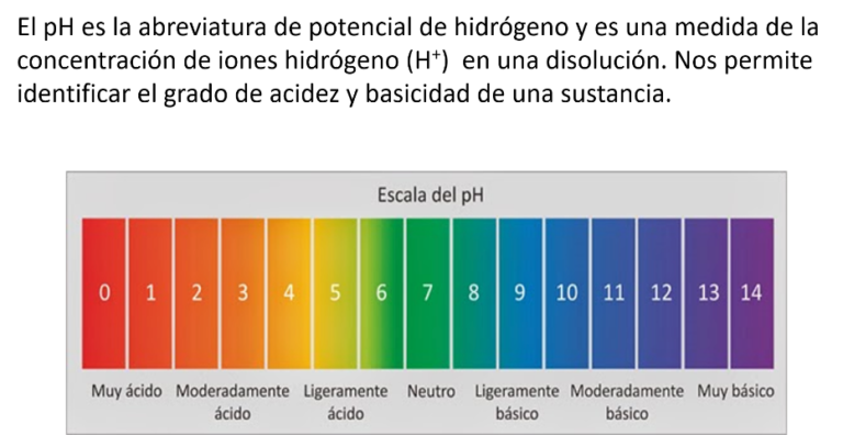 Como Puede Comprobarse Si Una Sustancia Es Acida O Basica