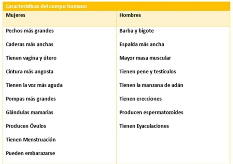 Cuadro Comparativo De Los Derechos Del Hombre Y La Mujer