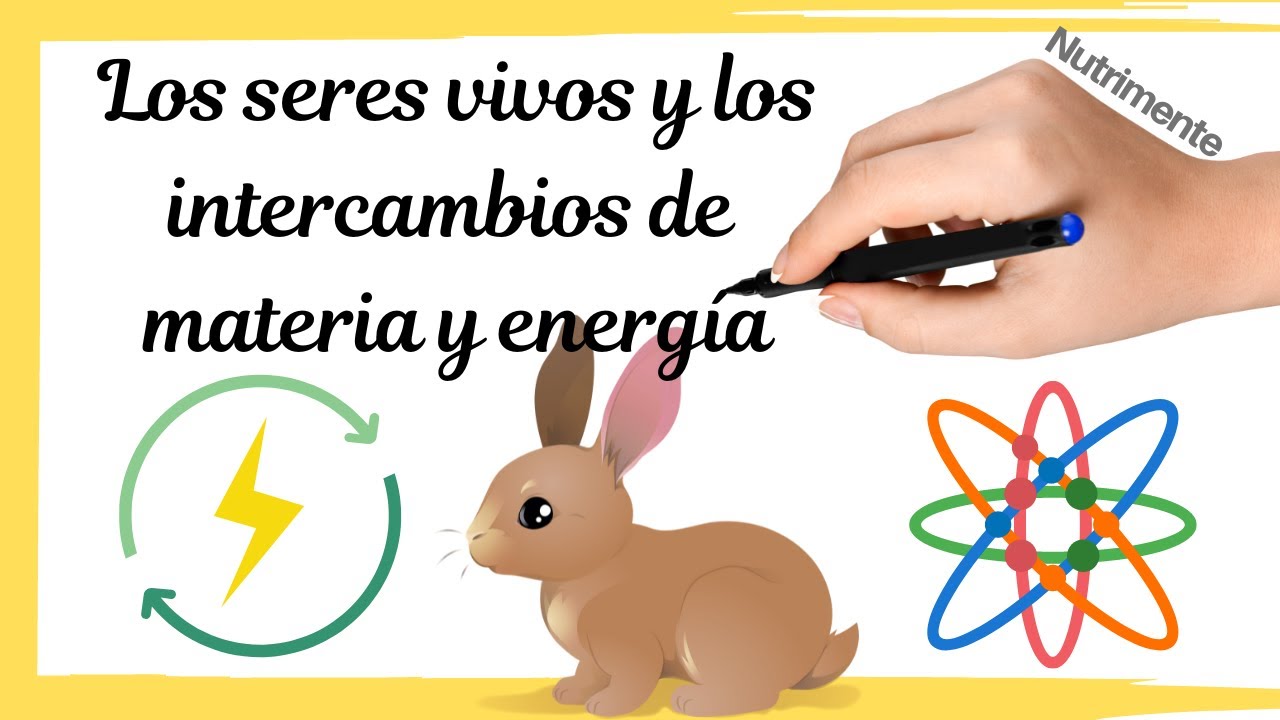 Los Seres Vivos Intercambian Materia Y Energia Con El Ambiente