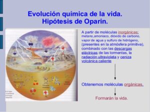 Oparin Haldane Condiciones Del Ambiente Del Origen De La Vida