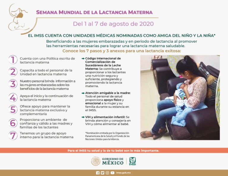 10 Pasos Y 3 Anexos De La Lactancia Materna Imss