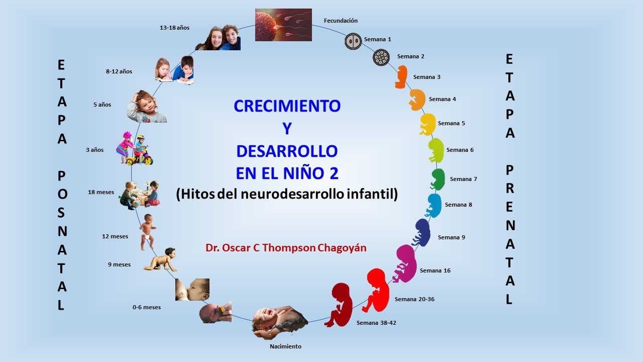 Crecimiento Y Desarrollo Del Nino De 0 A 5 Anos 1207