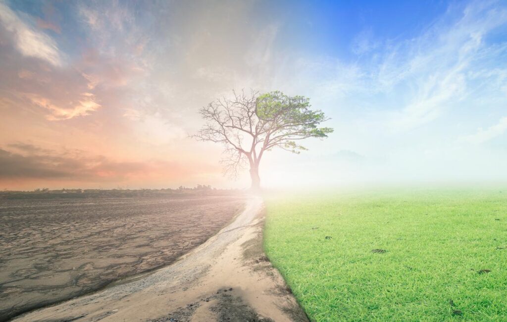 Impacto De Las Actividades Humanas En El Medio Ambiente Ejemplos 