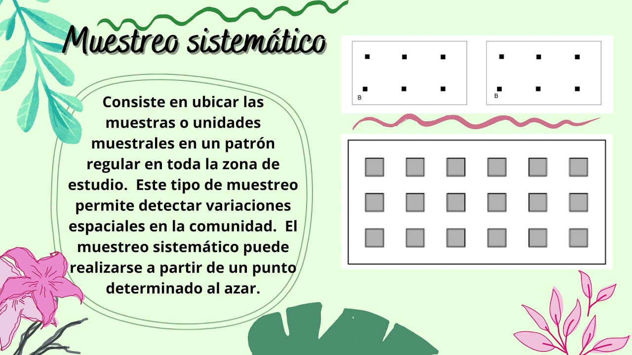 Manual De Metodos Basicos De Muestreo Y Analisis En Ecologia Vegetal 8962