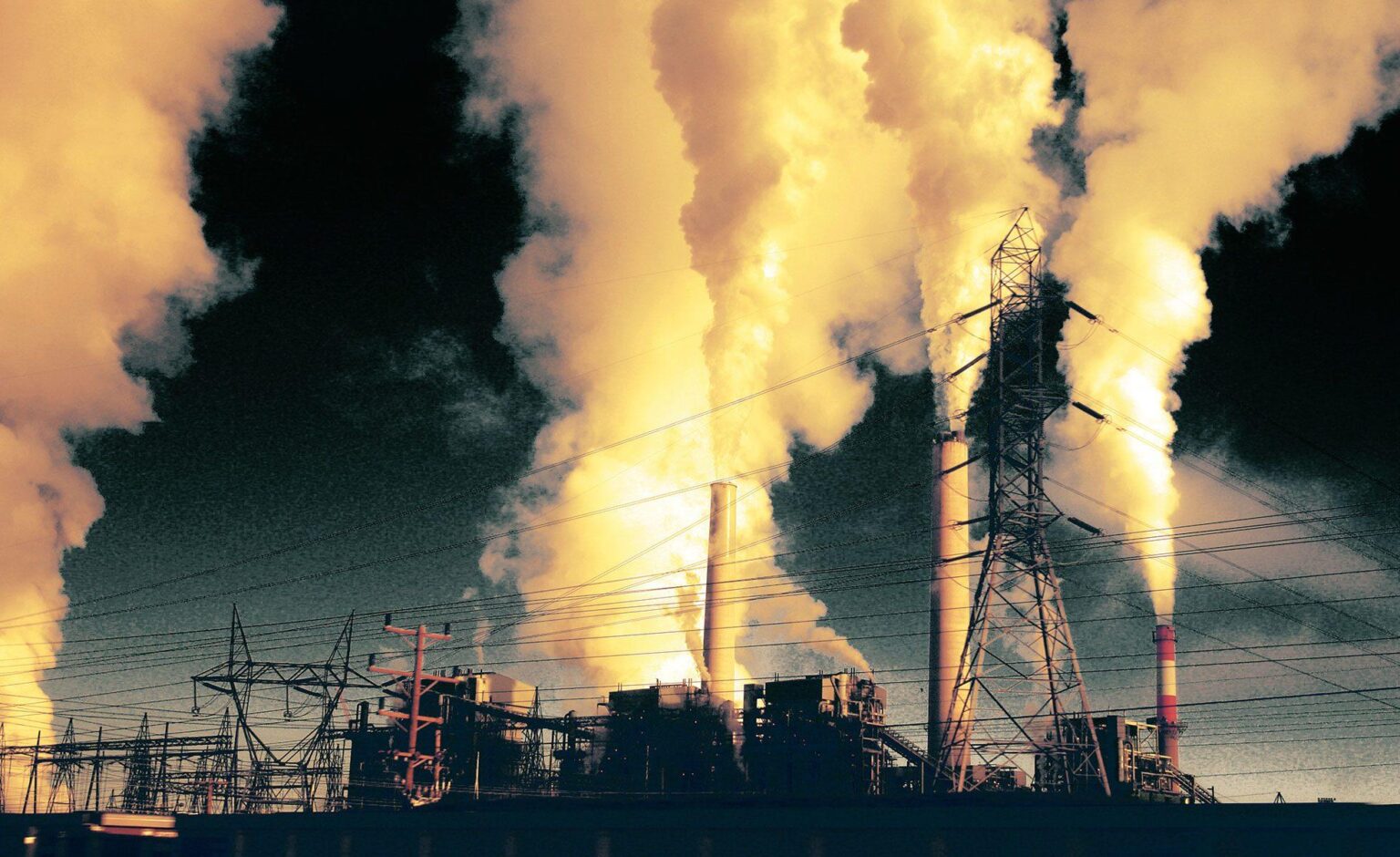 Por qué es importante la biologia en la vida cotidiana Por qué es importante la biologia en la vida cotidiana