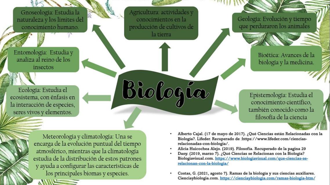 Que ciencias estan relacionadas con la ecologia y de que manera