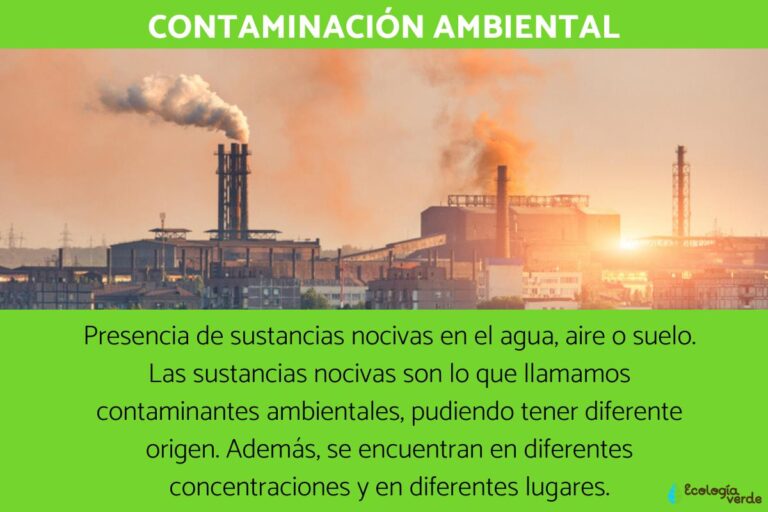 Que Es La Contaminacion Ambiental Y Cuales Son Sus Consecuencias 2634