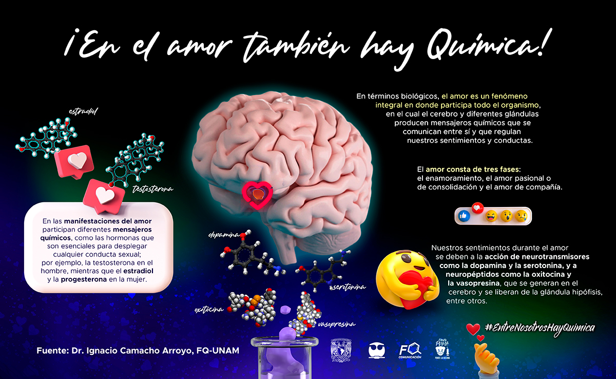 Que Relacion Existe Entre La Quimica Y El Ser Humano 6238